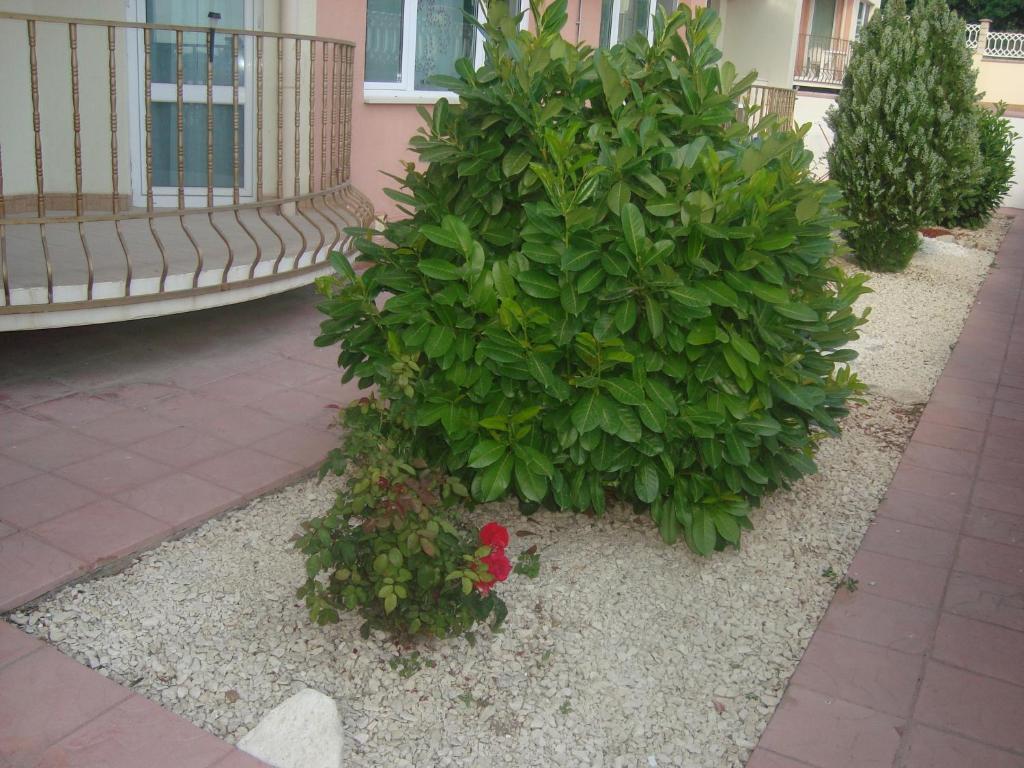 Apartment А13 In Sea Paradise Complex 卡瓦尔纳 外观 照片